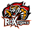 ROX GAMING